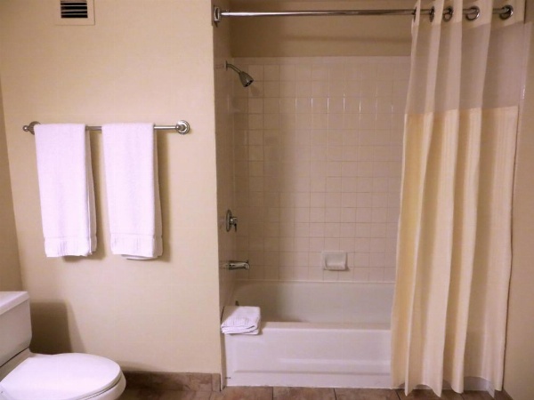 Polo Towers by Raintree image 21