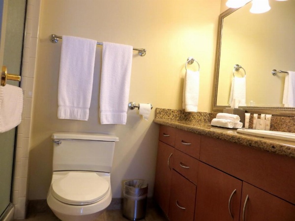 Polo Towers by Raintree image 22