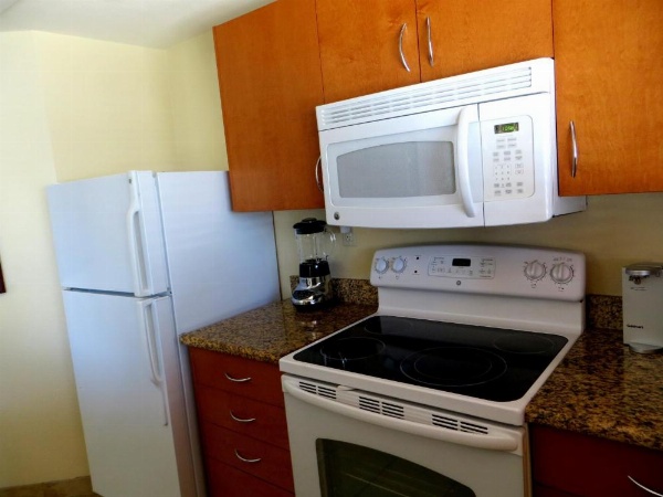 Polo Towers by Raintree image 24