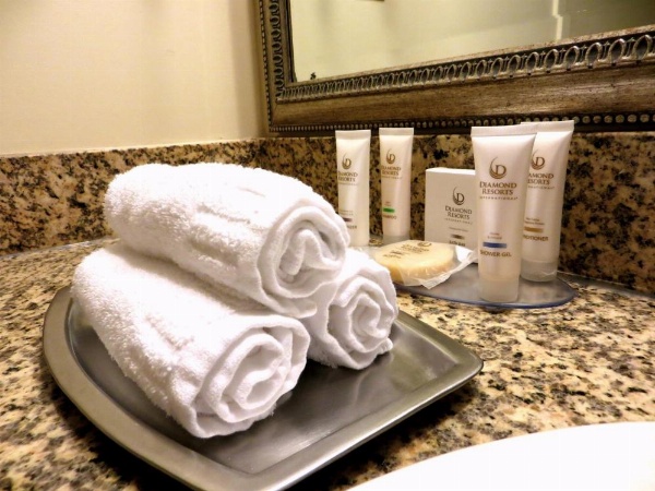 Polo Towers by Raintree image 30